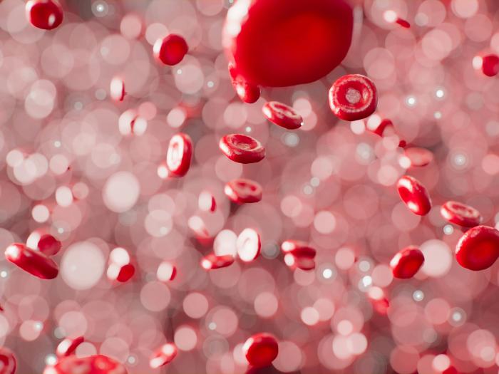 glóbulos vermelhos